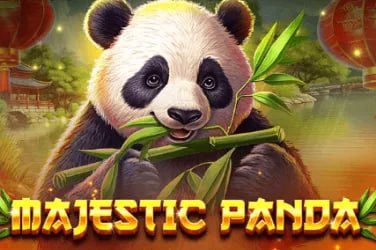 spincity99 Apa Yang Ada Dalam Live Casino